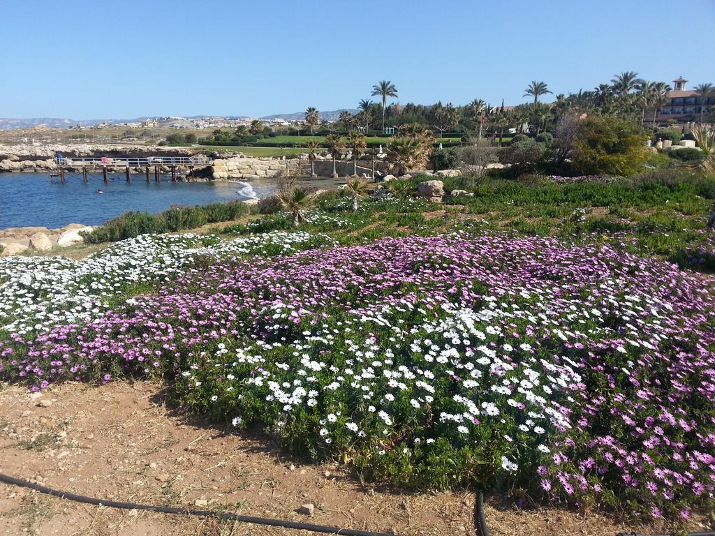 Faros Beach بافوس المظهر الخارجي الصورة